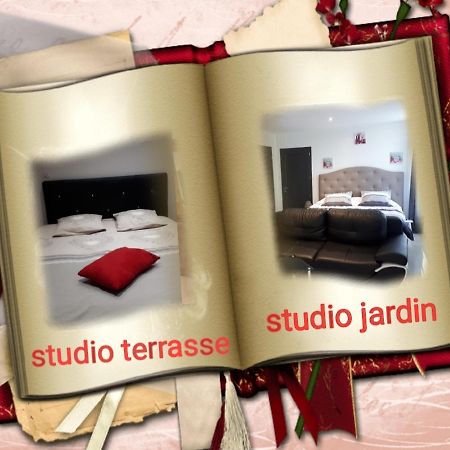 Au Paradis Des Crins Studio Rez De Chaussee Avec Jardin Et Un Autre Studio En Duplex Avec Terrasse Lejlighed Templeuve-en-Pevele Eksteriør billede