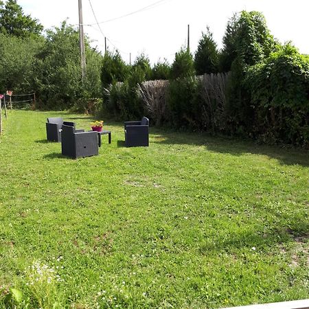 Au Paradis Des Crins Studio Rez De Chaussee Avec Jardin Et Un Autre Studio En Duplex Avec Terrasse Lejlighed Templeuve-en-Pevele Eksteriør billede