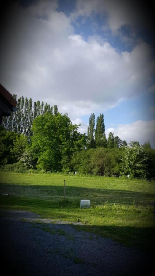 Au Paradis Des Crins Studio Rez De Chaussee Avec Jardin Et Un Autre Studio En Duplex Avec Terrasse Lejlighed Templeuve-en-Pevele Eksteriør billede